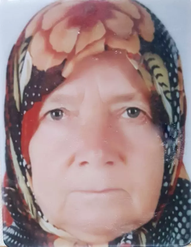 Böğürtlen Toplamaya Giden Yaşlı Kadın Dere Yatağında Ölü Bulundu