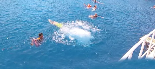 Caretta Caretta Yine Saldırdı