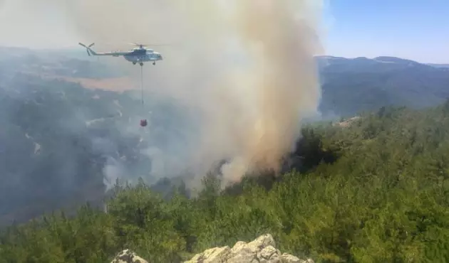 Fransa'da Orman Yangını