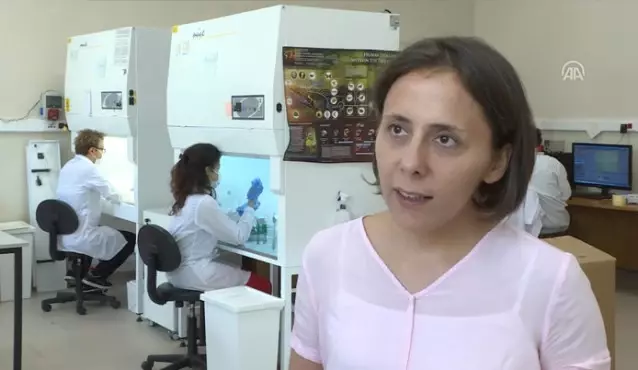 Kansere Çare Ararken İş Kadını Oldu