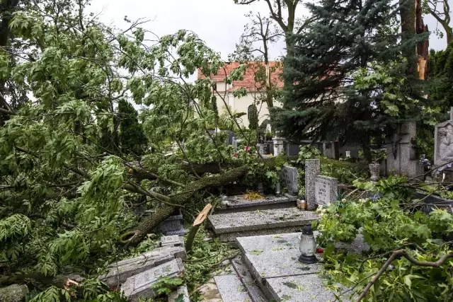 Polonya'da Fırtına: 4 Ölü, 28 Yaralı