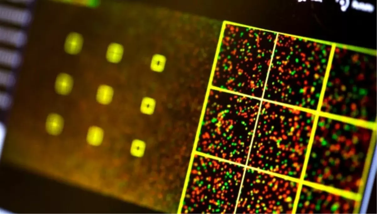 Sentetik Dna'da Güvenlik Sorunu!