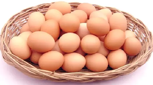 Zehirli Yumurta Krizi İspanya'ya Sıçradı