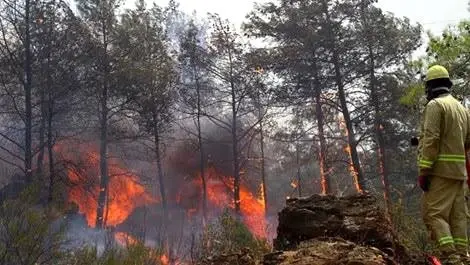 Kars'ta Orman Yangını