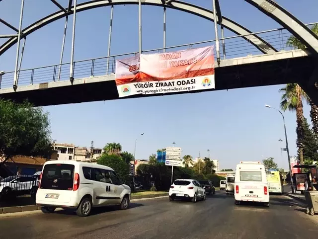Mısır Üreticisine