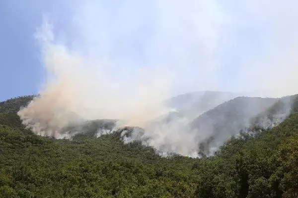 Tunceli'de Orman Yangınları 2
