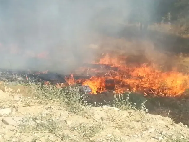Arazi Yangını Akaryakıt İstasyonuna 20 Metre Kala Söndürüldü