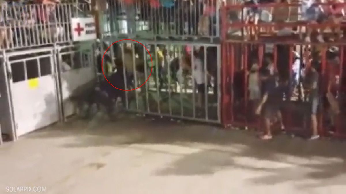 İspanya'daki Boğa Festivalinde Boğa, Seyircilerden Birini Boynuzladı