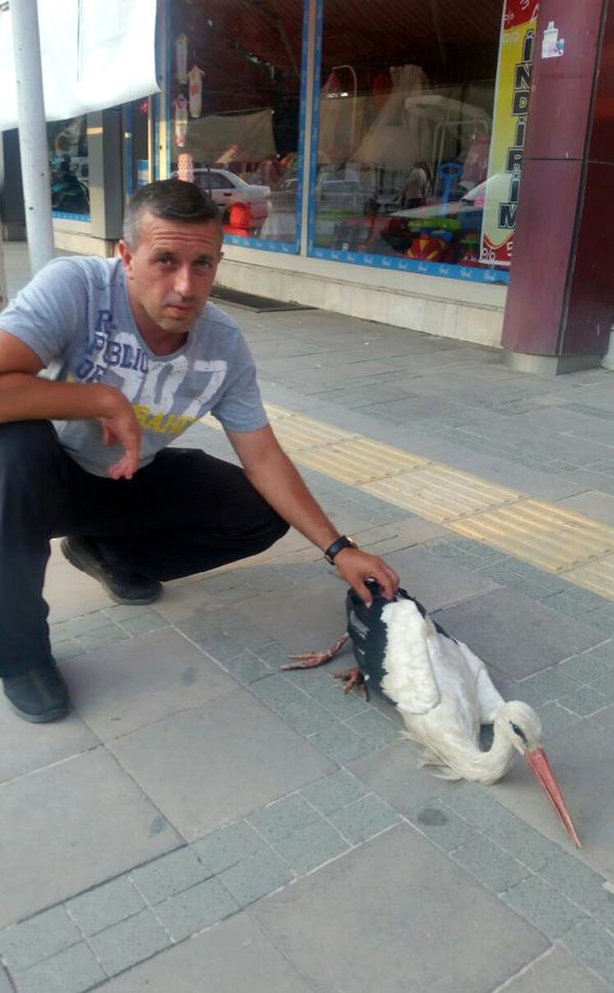 Yaralı Leylek Korumaya Alındı