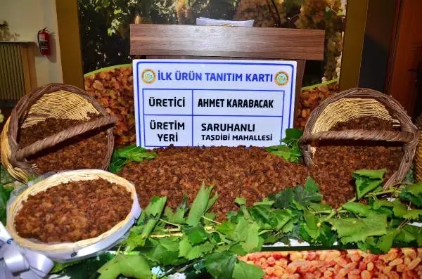 Sezonun İlk Kuru Üzümünün Kilosu Açık Arttırma ile 150 Liradan Satıldı Sezonun İlk Kuru Üzümünün Kilosu Açık Arttırma ile 150 Liradan Satıldı