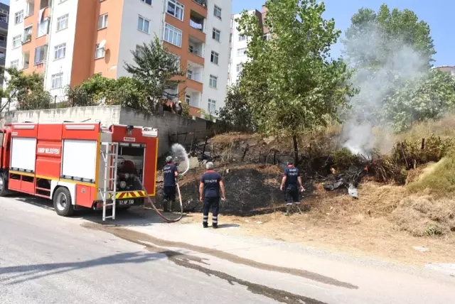 Sinop�ta Ot Yangını Sinop