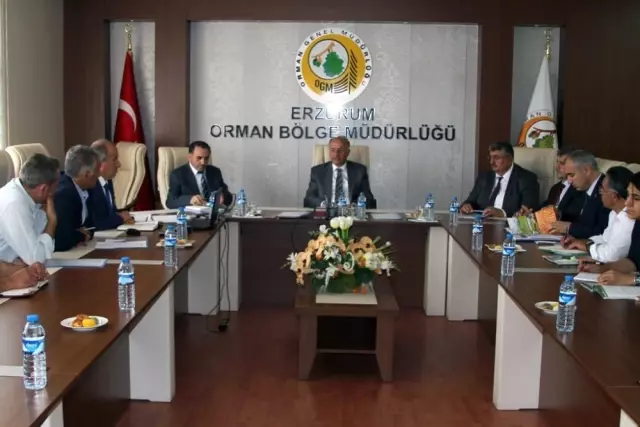 Vali Azizoğlu Talimat Verdi: '20 Milyon Ağaç Dikeceğiz' Vali Azizoğlu Talimat Verdi: '20 Milyon Ağaç Dikeceğiz'