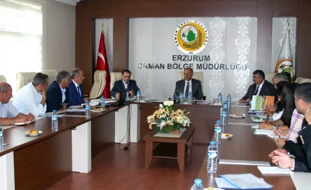 Vali Azizoğlu Talimat Verdi: '20 Milyon Ağaç Dikeceğiz' Vali Azizoğlu Talimat Verdi: '20 Milyon Ağaç Dikeceğiz'