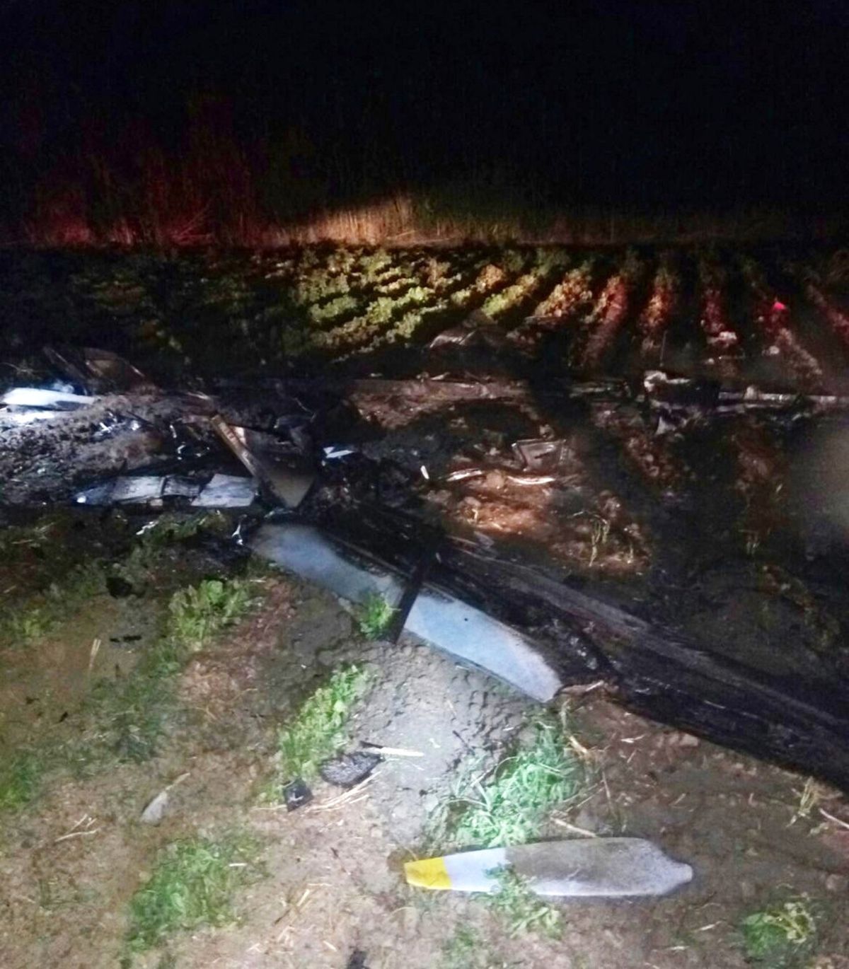 Adana'da ABD'ye Ait Bir İnsansız Hava Aracı Düştü!