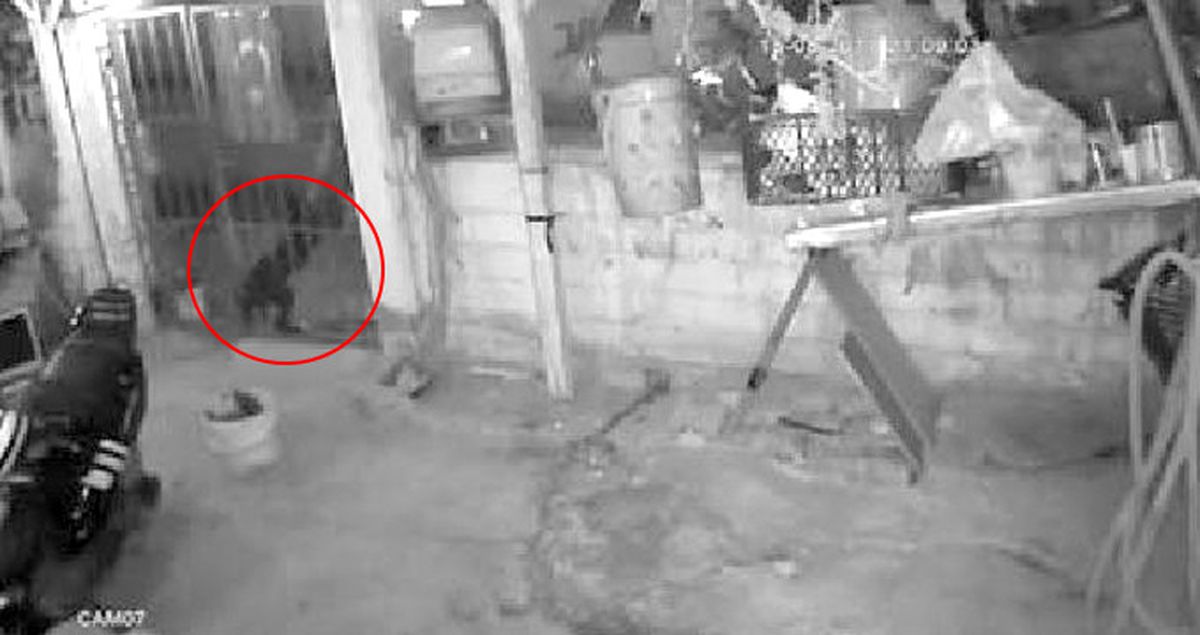 Köpeği, Demir Parmaklıkların Arasından Çekip Çaldı