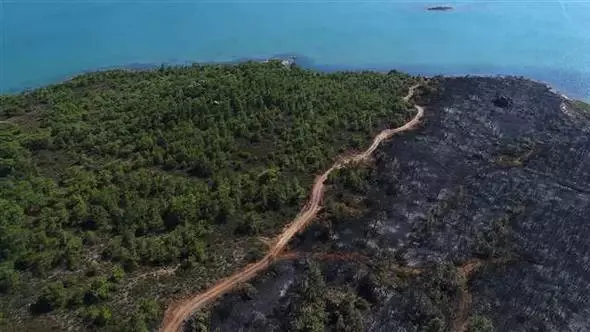 Ayvalık'ta Yanan Ormanlık Alan Böyle Görüntülendi! Yoksa Sabotaj mı?