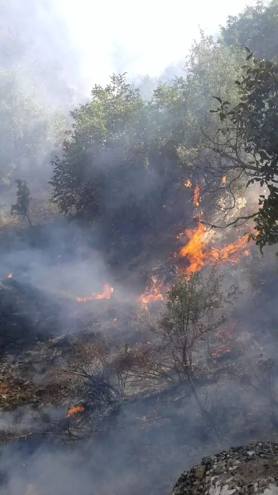 Tunceli�de Bir Ev ve Meyve Ağaçları Yandı Haberler