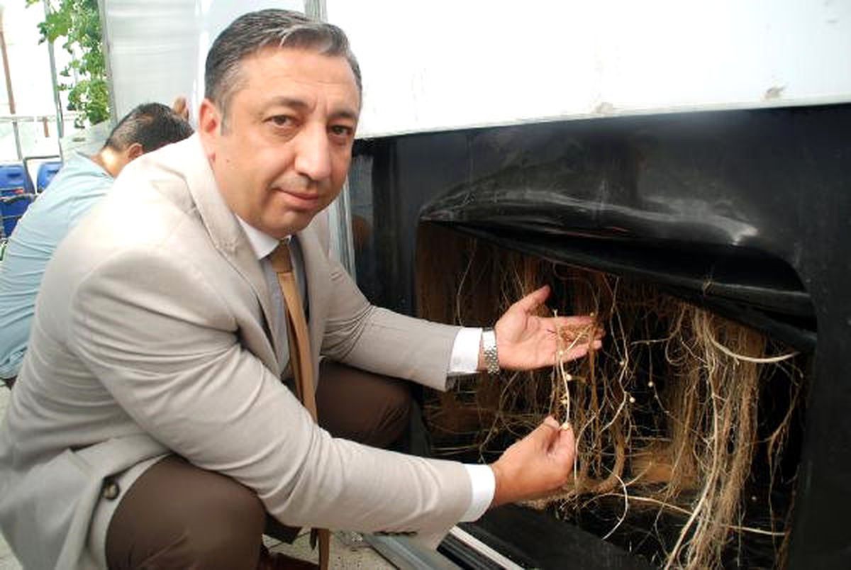 Türkiye'de İlk Kez Topraksız Patates Tohumunu Ürettiler
