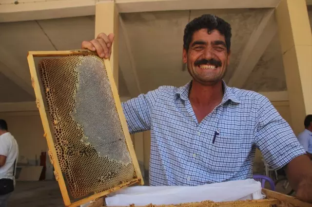 Gülnar'da