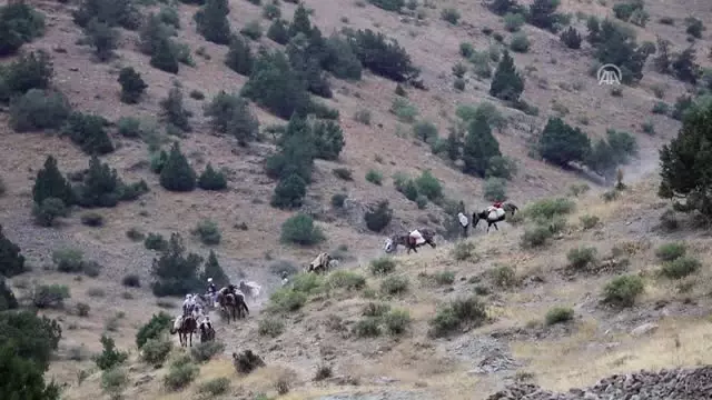 Berivanların 3 Bin Rakımdaki Zorlu Yaşamı (1)