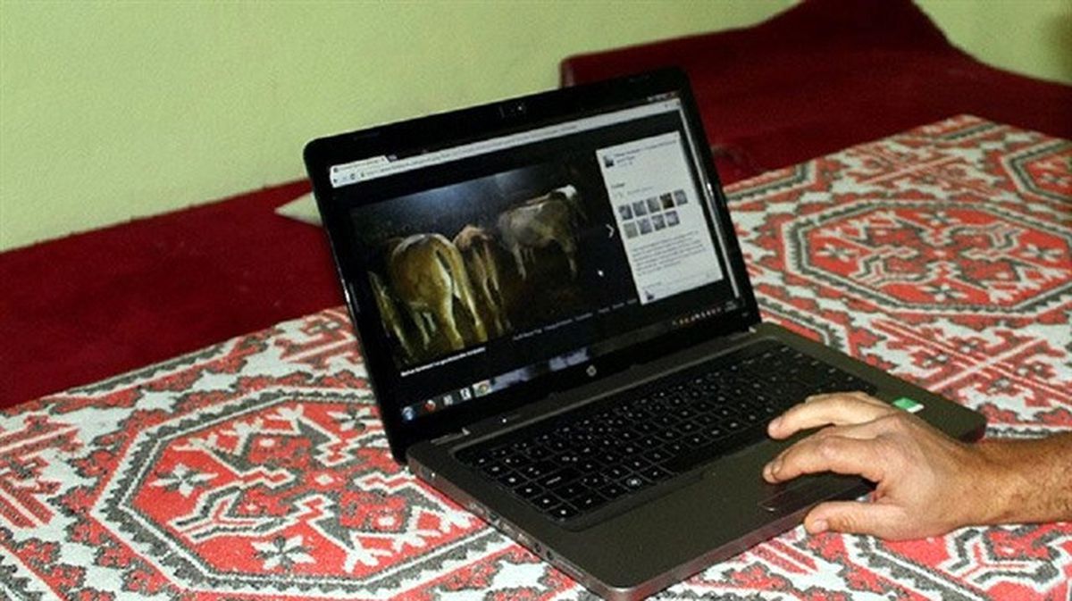 İnternet Üzerinden Kurbanlık Alırken Dolandırılmayın