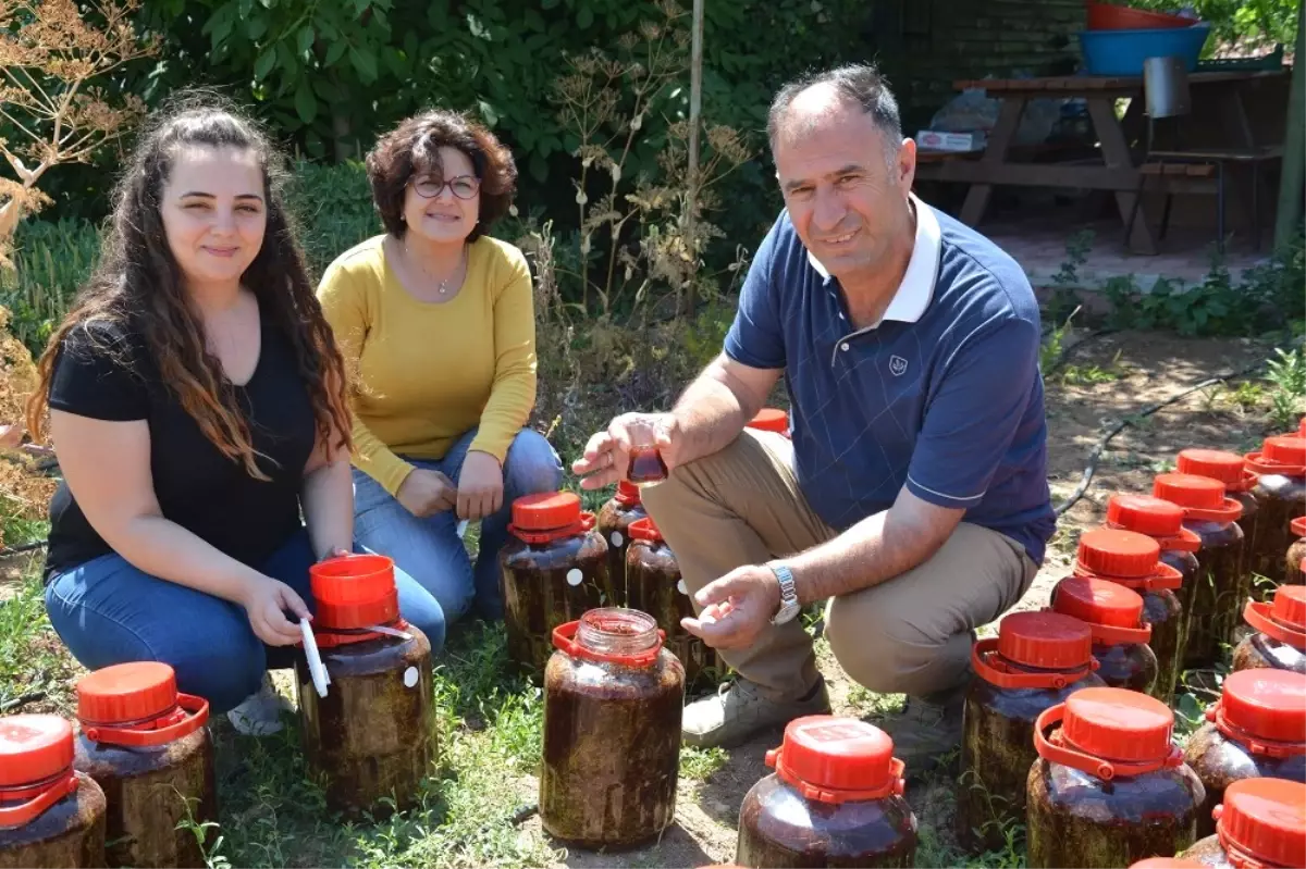 Türkiye'nin İlk Tıbbi Bitkiler Araştırma ve Uygulama Çiftliği, Selçuk'ta
