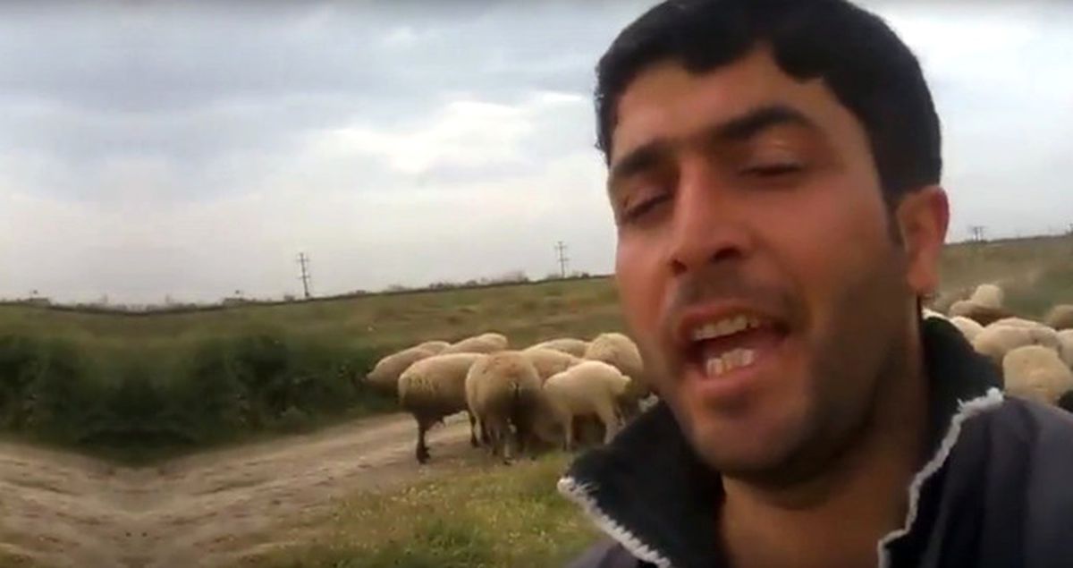 Azerbaycanlı Çoban, Hayvanları Otlatırken Söylediği Şarkılarla Fenomen Oldu