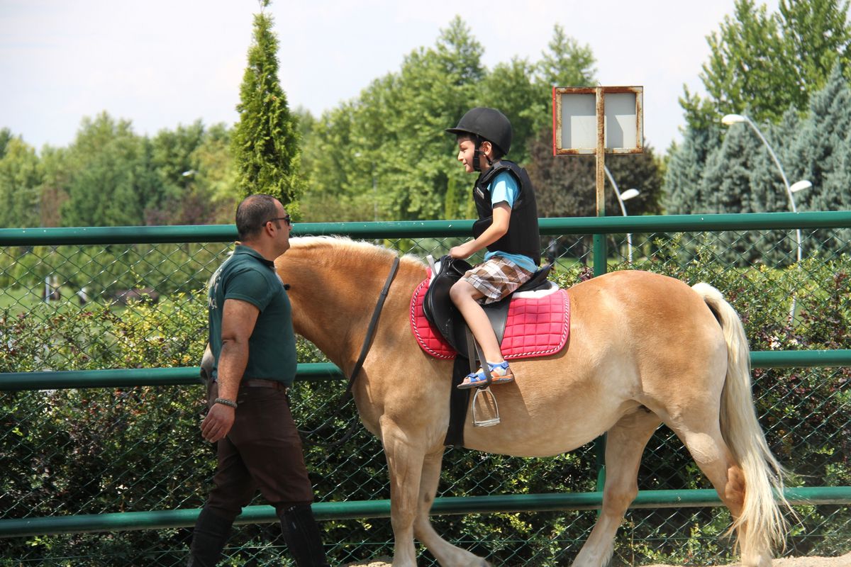 Kentpark'ta At Hobi Binişleri Başladı