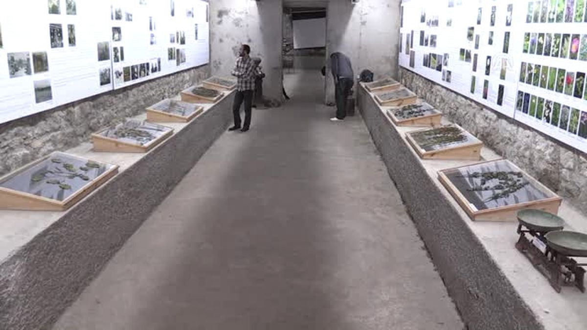 Kars'taki 'Peynir Müzesi'Ne Ziyaretçi İlgisi