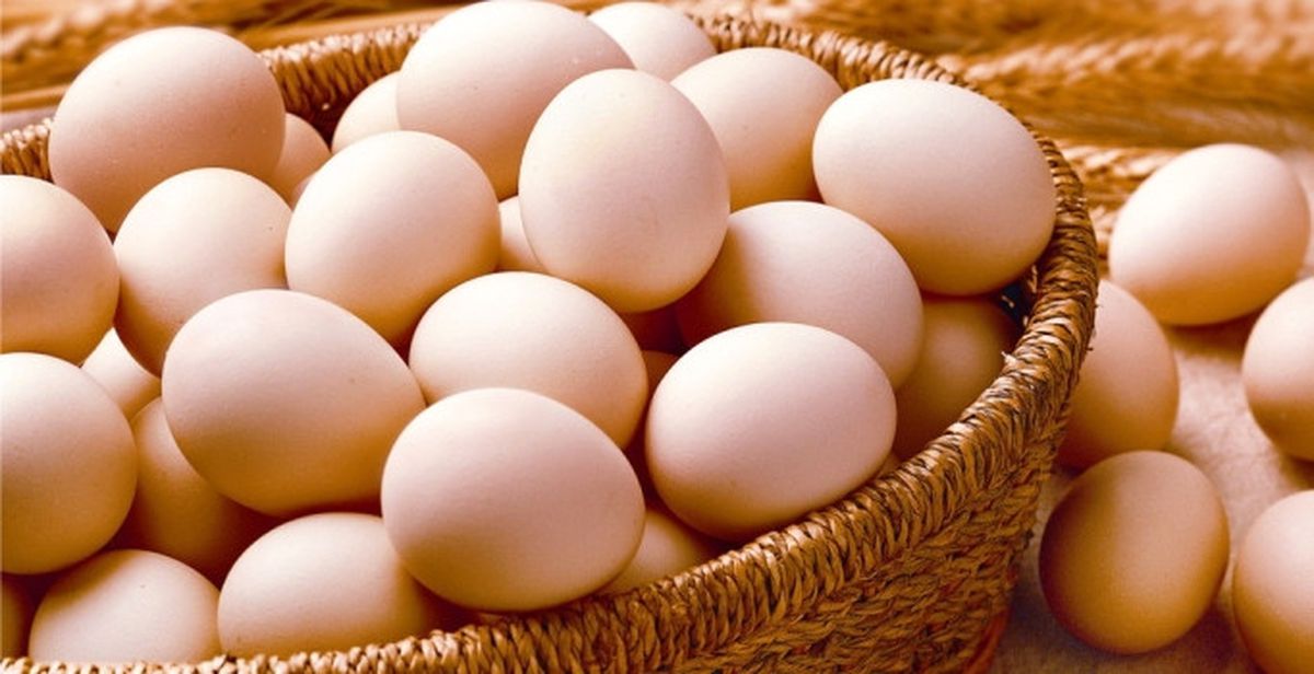Türkiye'deki Yumurtalarda Böcek İlacı Çıkmadı