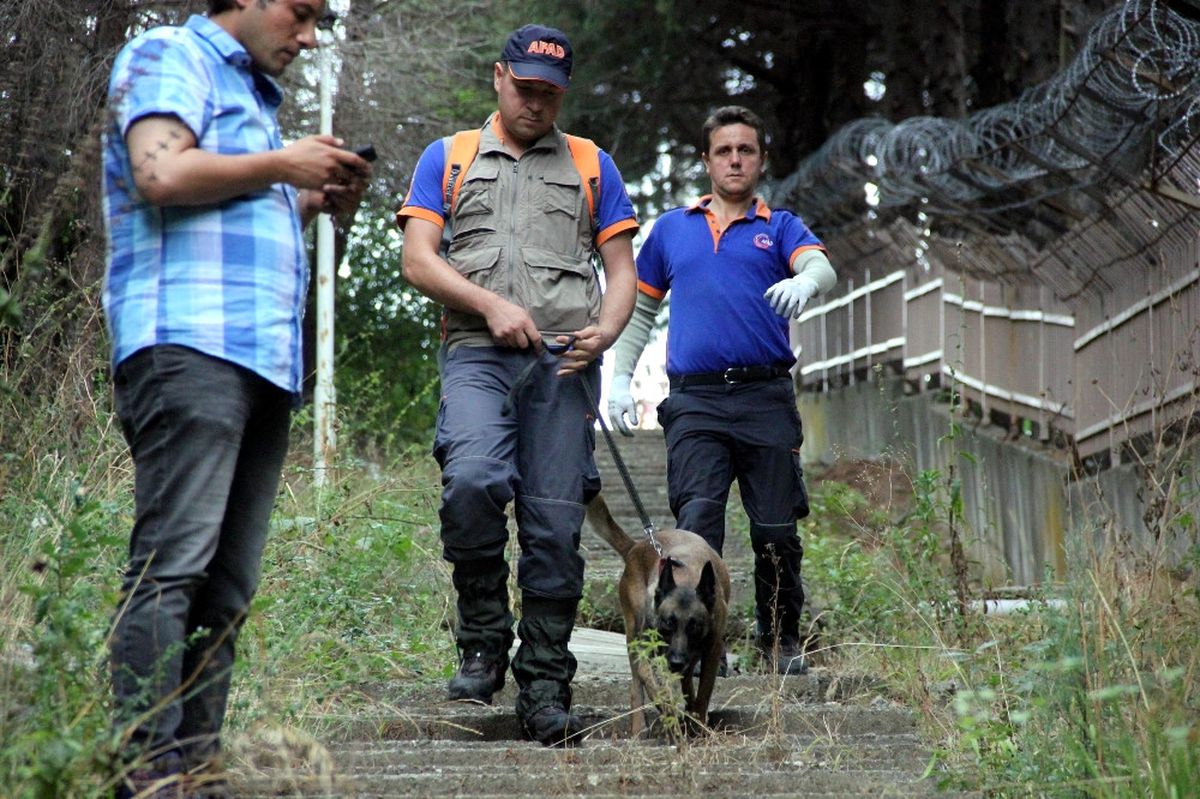 Ormanlık Alandan Gelen Kadın Çığlıkları Polisi Harekete Geçirdi!