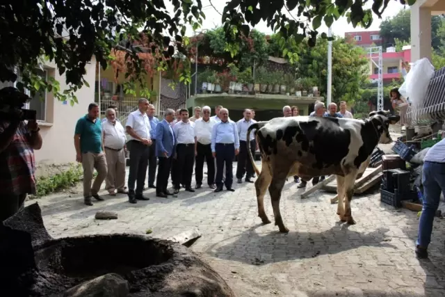 Orköy'den Arsuz'da Köylüye Destek Orköy'den Arsuz'da Köylüye Destek
