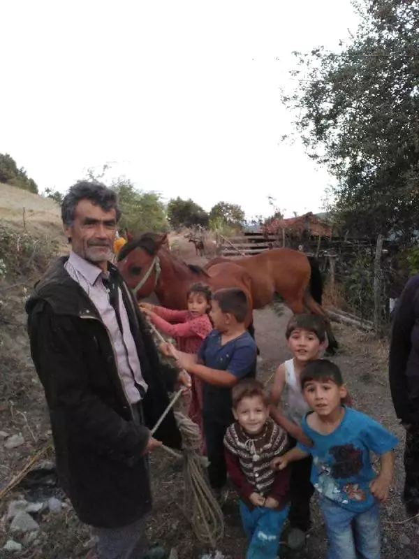 Kurbanlık Boğasının Boynuz Darbesiyle Öldü