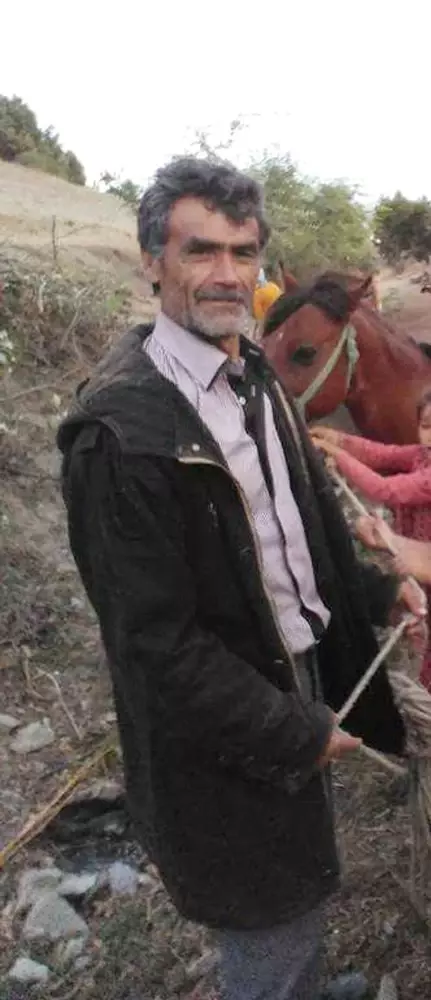 Kurbanlık Dana Sahibini Öldürdü