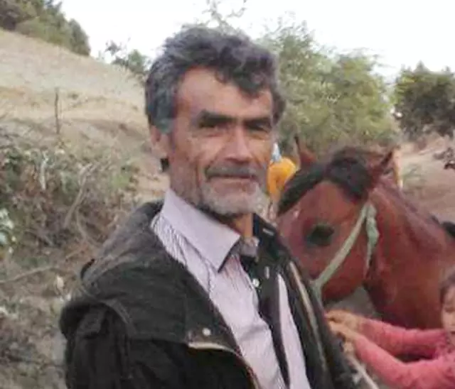 Kurbanlık Dana Sahibini Öldürdü