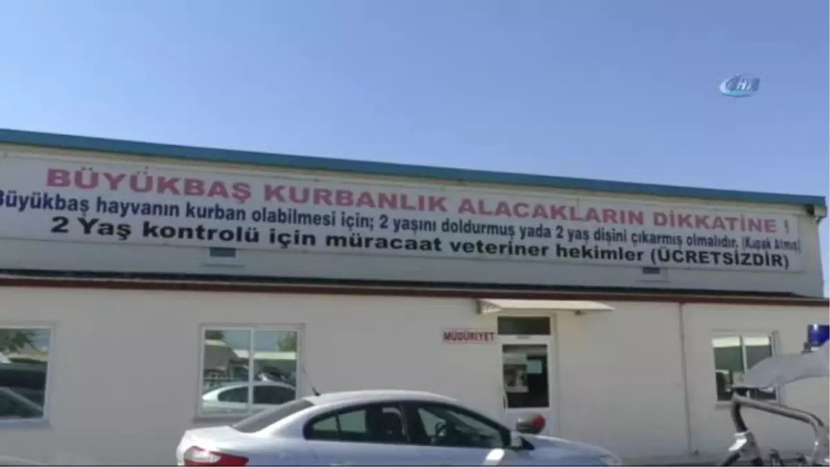 Araba Fiyatına Kurbanlık 'Mareşal'