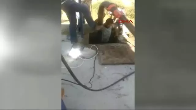 Sivas 15 Günlük Buzağı Düştüğü Çukurdan Çıkarıldı Sivas 15 Günlük Buzağı Düştüğü Çukurdan Çıkarıldı