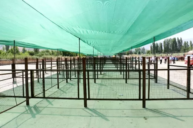 Yahyalı Bayrama Hazır