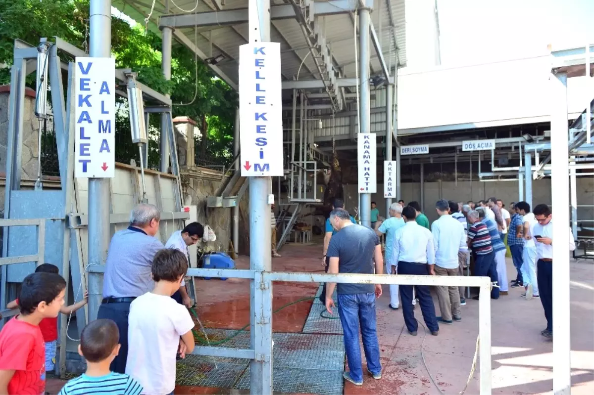 Yıl-Mek'ten Kurban Kesim Kursu