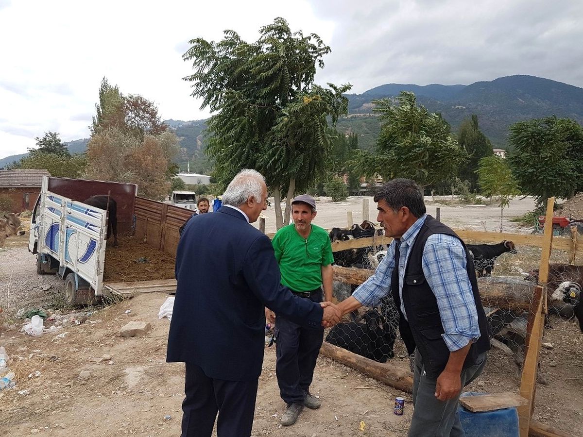 Reşadiye'de Kurban Pazarında Küçükbaş Hayvana İlgi