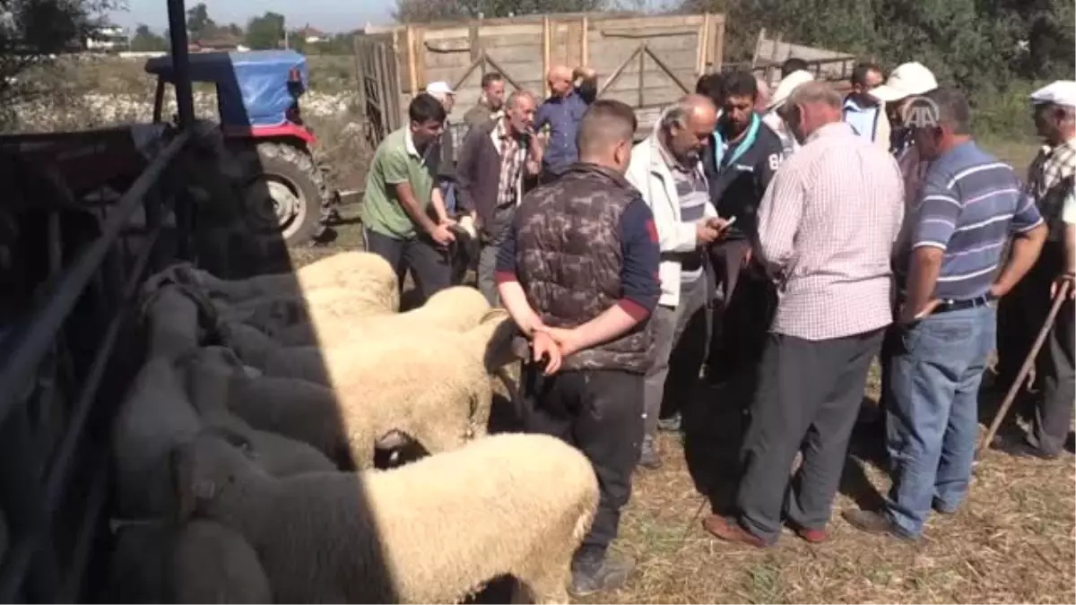 Hayvan Pazarlarında Arife Yoğunluğu