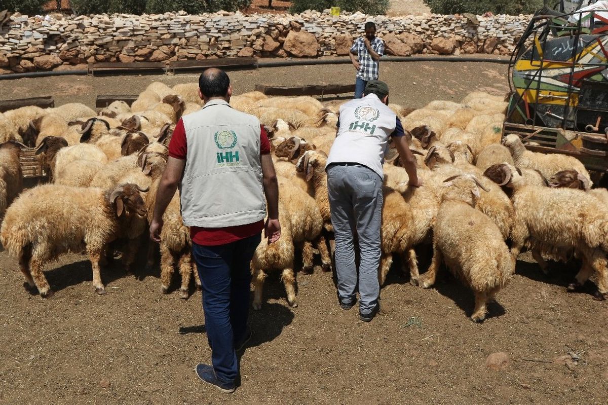 İhh Suriye'de Kurbanlık Alımını Tamamladı
