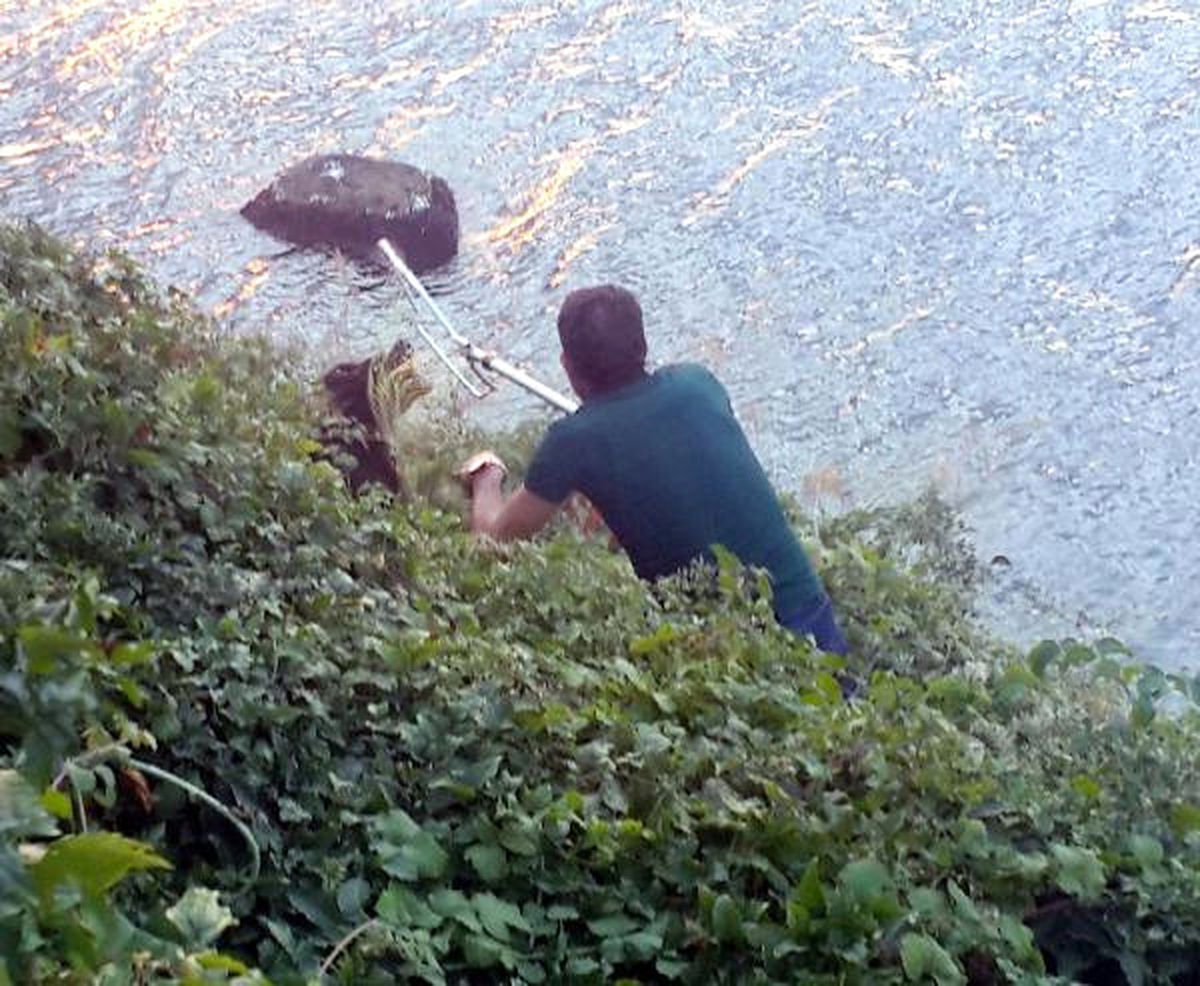 İtfaiyeden Çalılıklarda Köpek Kurtarma Operasyonu