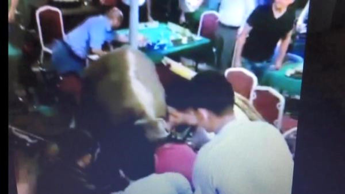 Bursa'da Kaçan Boğa Kahveye Daldı