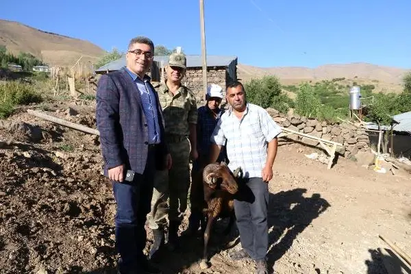 Varto Kaymakamı'ndan Şehit Ailelerine Kurbanlık Koç Varto Kaymakamı'ndan Şehit Ailelerine Kurbanlık Koç