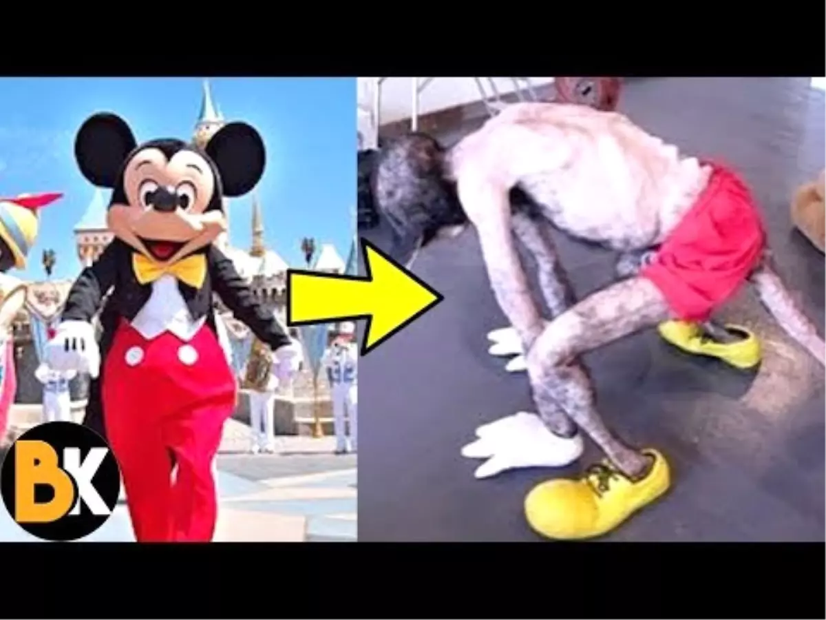 Disneyland Parkları Hakkında Kimsenin Bilmediği 15 Gerçek