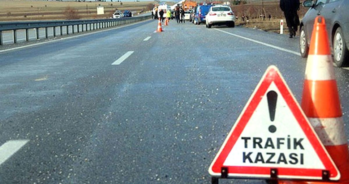 Ağrı'da Minibüs Şoförü Köpeğe Çarpmamak İçin Uçuruma Uçtu, 2 Çocuk Öldü