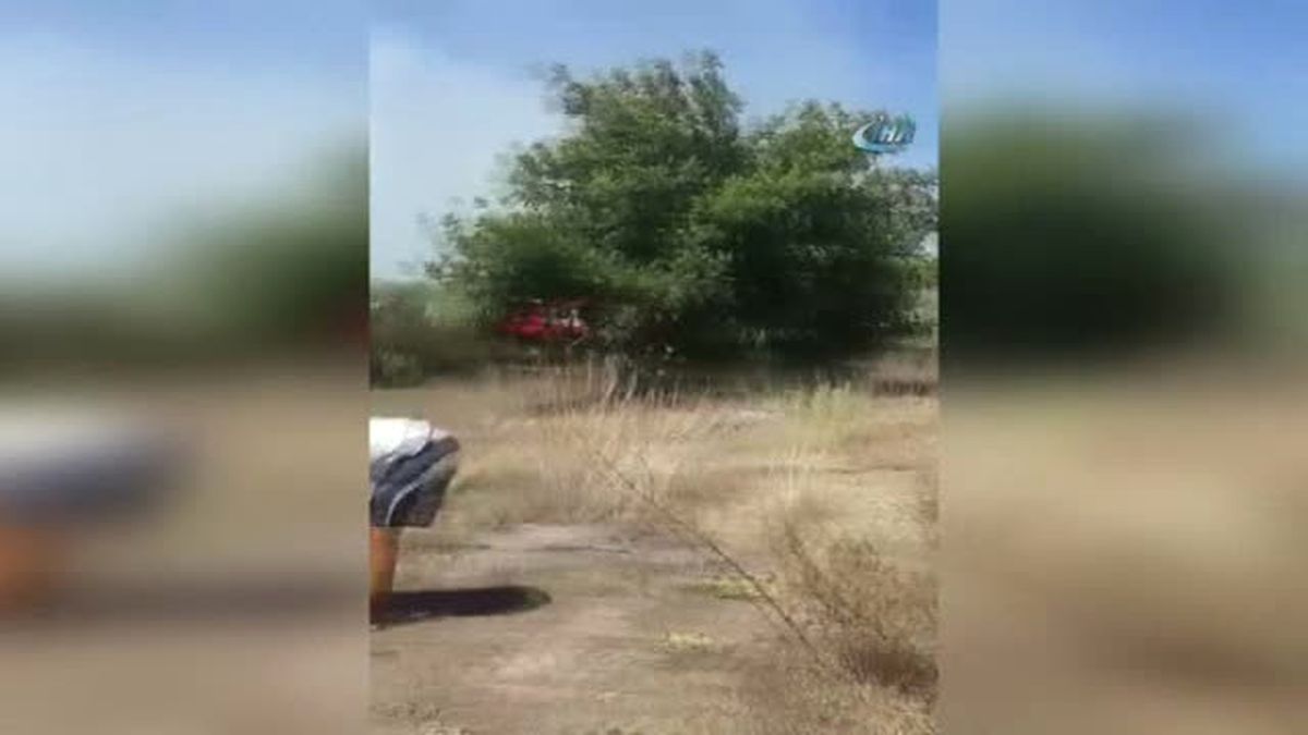 Antalya'da Meyve Bahçesinde Yangın