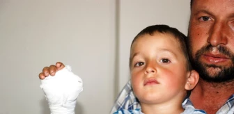 3 Yaşındaki Çocuğun Nacakla Kesilen Parmağı Yerine Dikilemedi