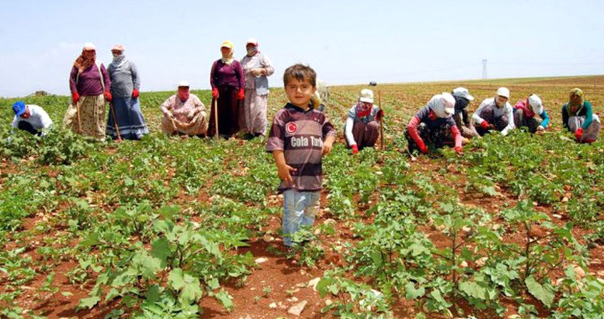 Mevsimlik Tarım İşçilerinin Şartları İyileştirilecek